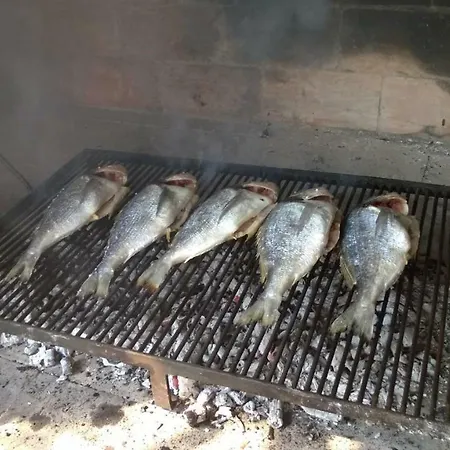 Juric Διαμέρισμα
